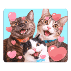 Natthaory_20260610022921