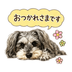 shishi marumama_20260526221939