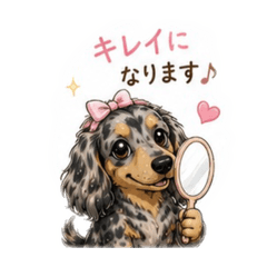 aki_20260527175223