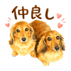 yuharu_20260527184418
