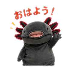 momot_20260527190846