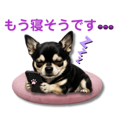 miki_20260527232530