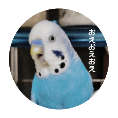 sora_20260527232510