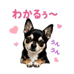 miki_20260527233114
