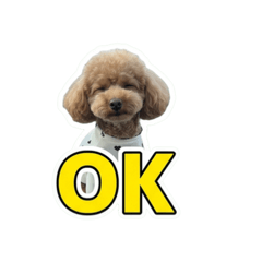Toy_20260528111807