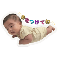 rinrin_20260528112304