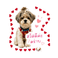 Parichat_20260429220600