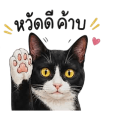 Cat Batman_20260429220741
