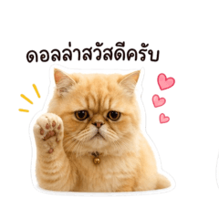 Thaninchot_20260429220816