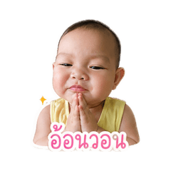 YANISA_20260429220756