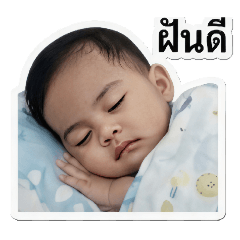 Mata_20260429221131