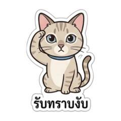 Netnapha 25