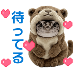 Chico_20260527012843
