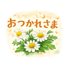 Botanical Herbs - Daily Greetings