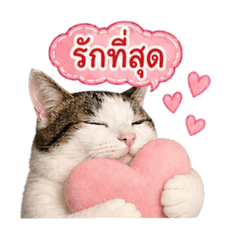 san_20260429221616