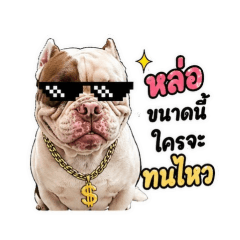 srytaeee_20260429222042