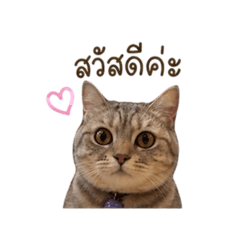 Flosha in women