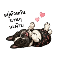 happy happy_20260429223233