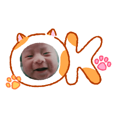 Bam_20260429223057