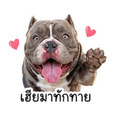 Momay_20260429223557
