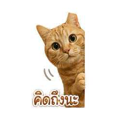Tip1812_20260429224044