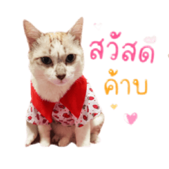 Nuchchii jub jub_20260429224449