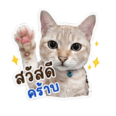 Ajin_20260429224510