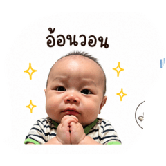 noey_20260429225020www