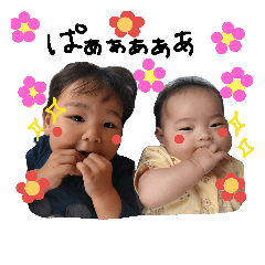 IMADA family 2