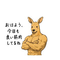 kangaruu