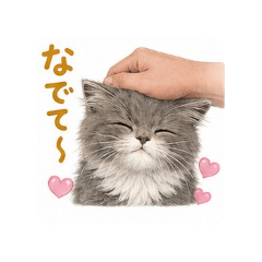 SAYAKA_20260527141728