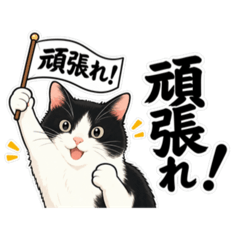 QUEEN_20260527141523