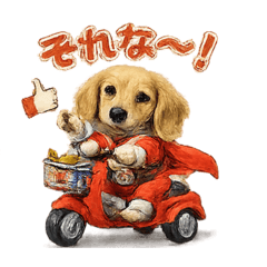わんダフルはっぴー【ダックスの日常３】