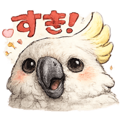 huwamochi_20260527160357