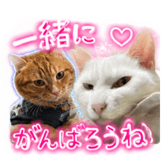 kotetu Work2