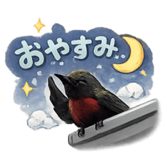 Black bird_R