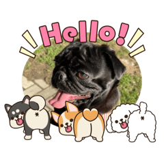 kyun_20260527173002