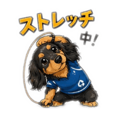 aki_20260527222538