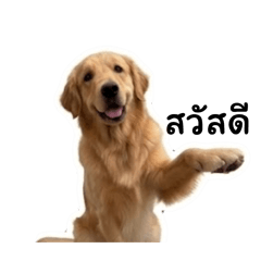 Bobby_20260429230324
