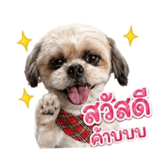 Damisa Artsana_20260429231551