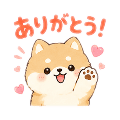 mamedog3