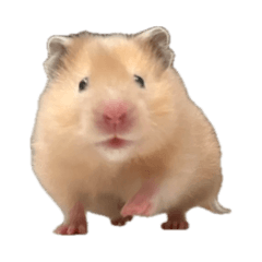 reeiii_20260527181232