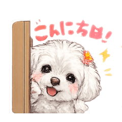 Miho_20260527202143
