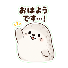 matsu_20260527203401