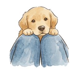 Puffy Lab_20260527211803