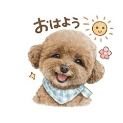 kana._20260527214228