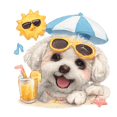 Miho_20260527222922