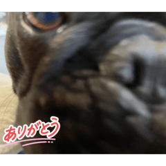 Yusuke_20260528071450