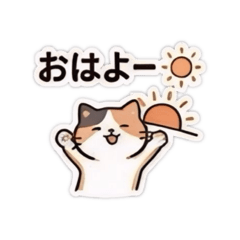 m-cha_20260528092553