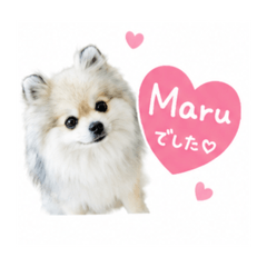 natsumi_20260528172059